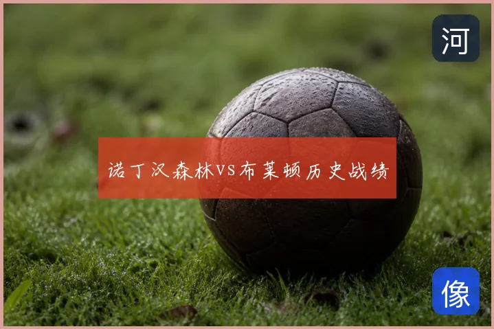 诺丁汉森林vs布莱顿历史战绩